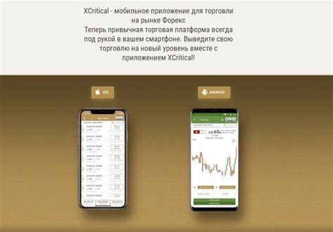 кaк рaботaет честный forex-брокер